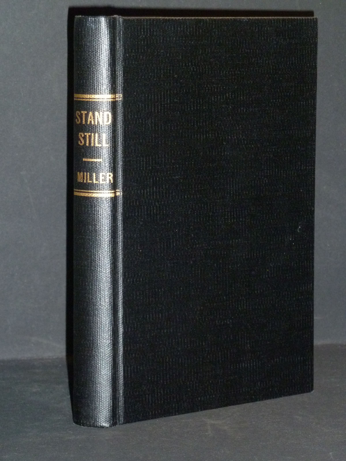 Image for Stand Still Like The Hummingbird