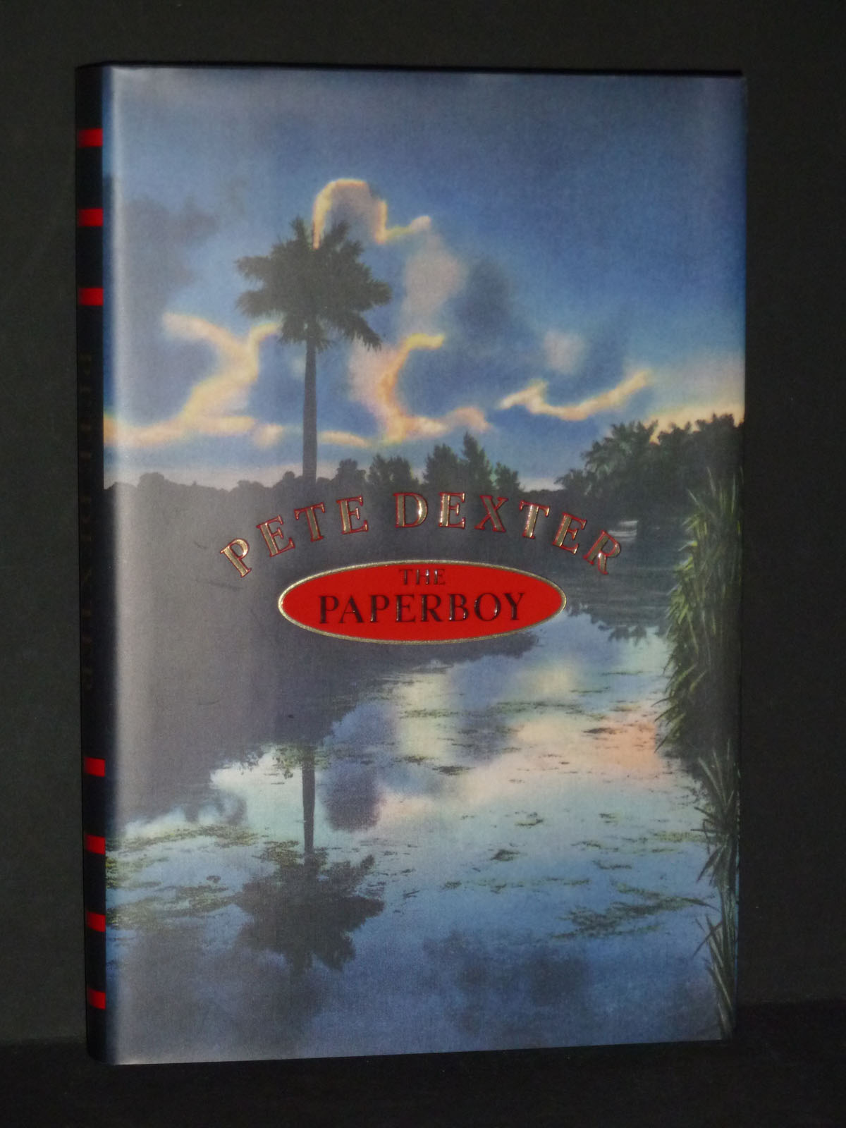 Image for The Paperboy