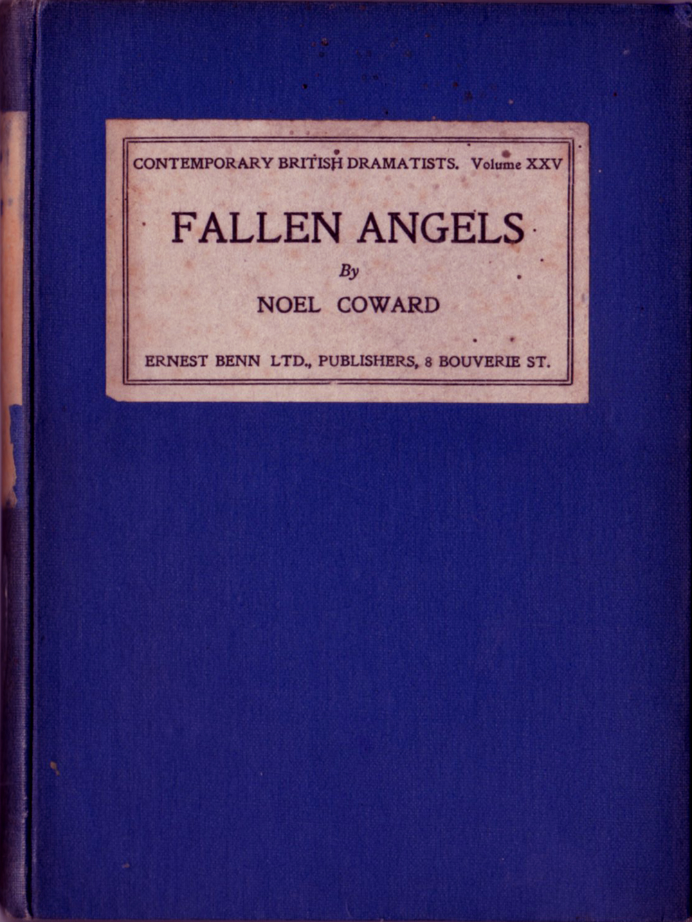 Image for Fallen Angels
