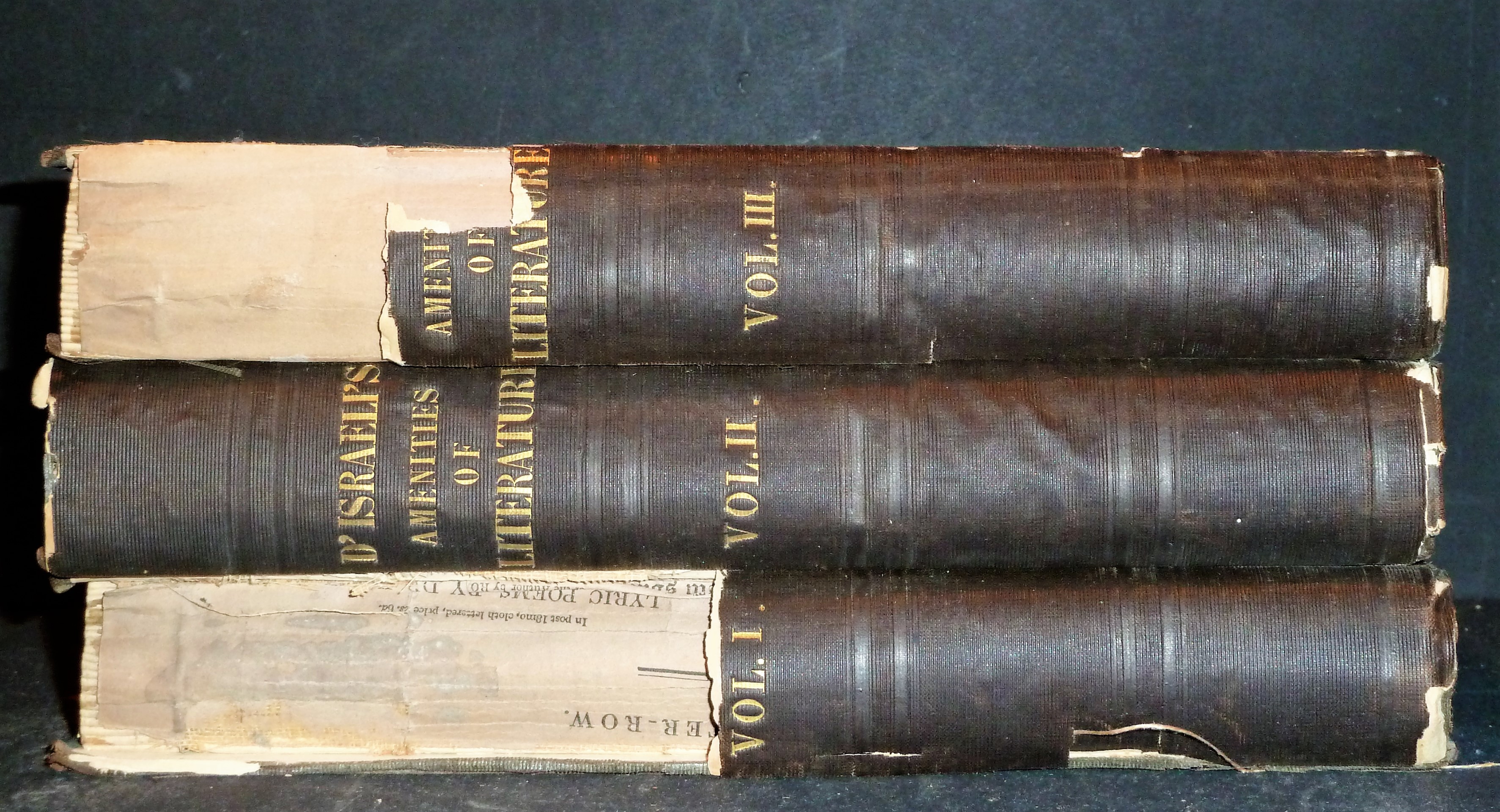 Image for Amenities Of Literature