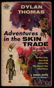 Image for Adventures in The Skin Trade