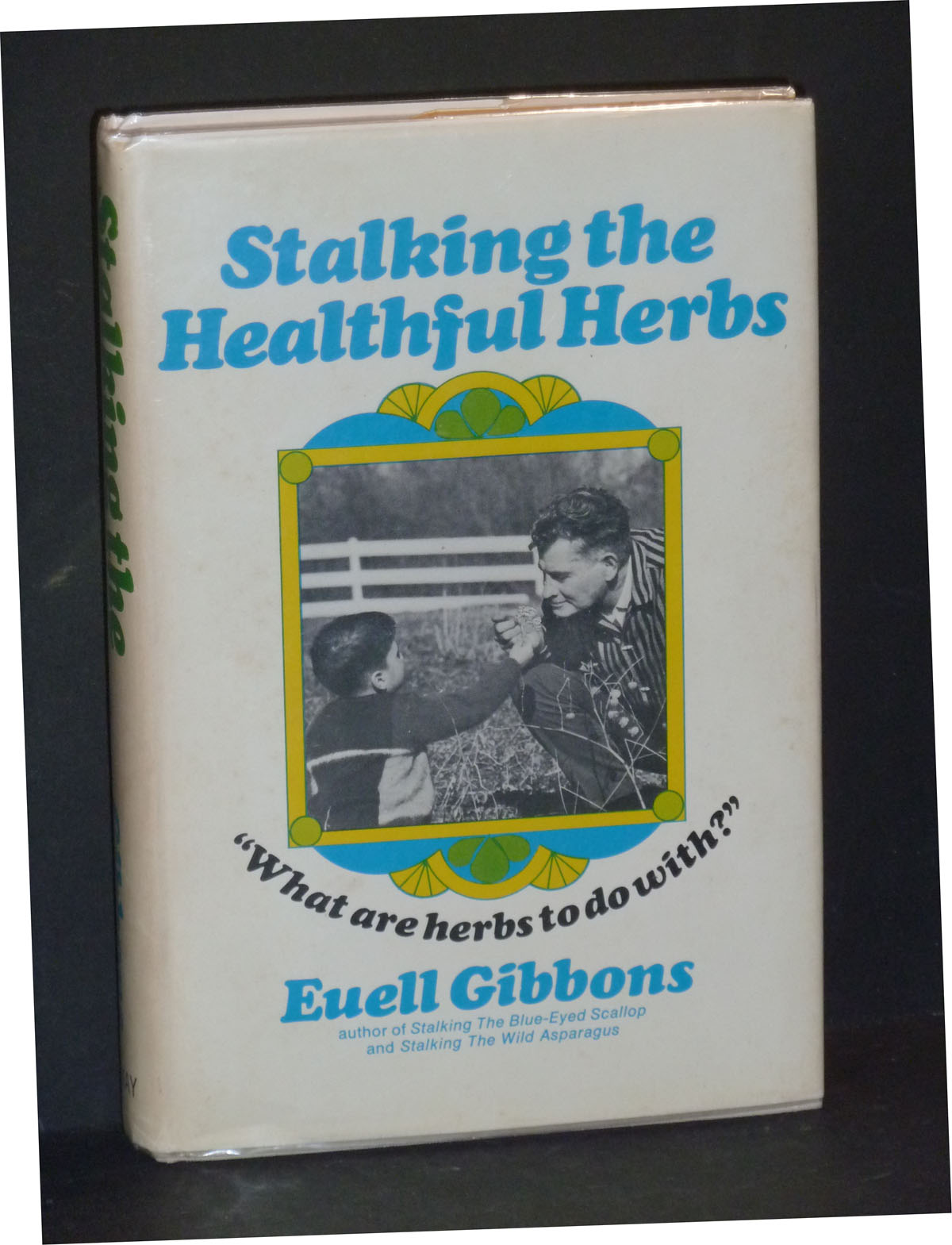 Image for Stalking The Healthful Herbs
