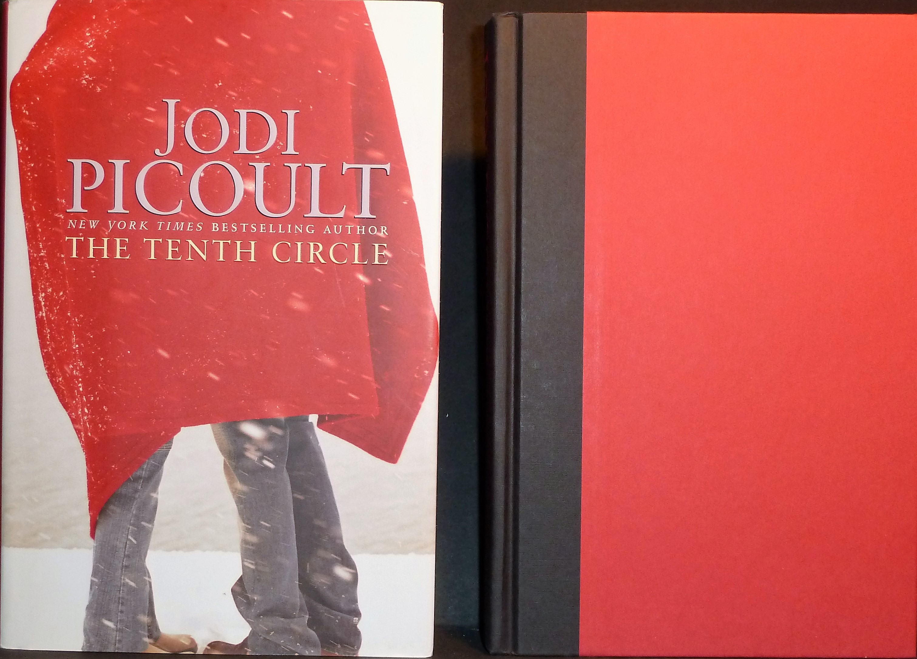 Image for The Tenth Circle: A Novel