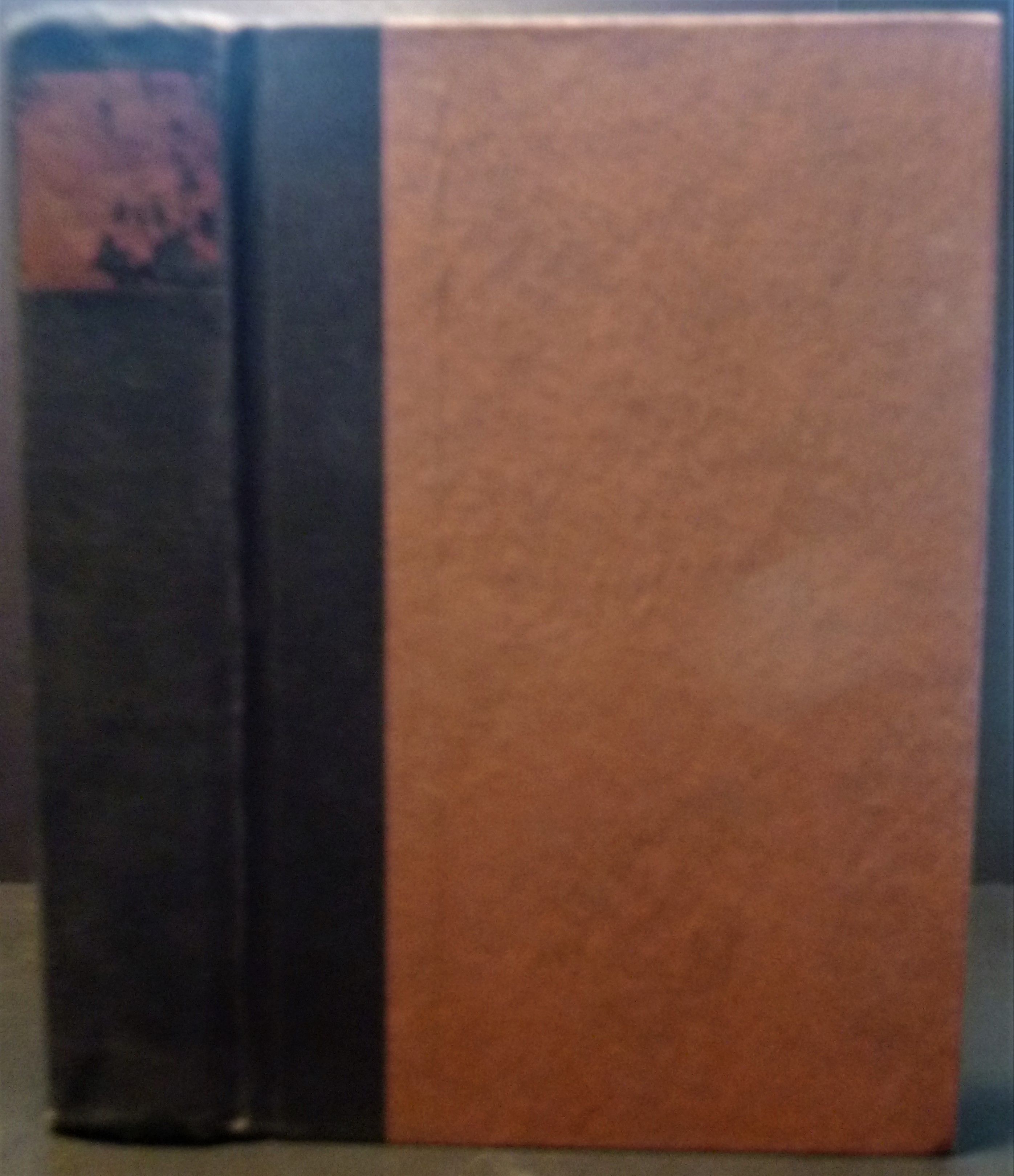 Image for Roots