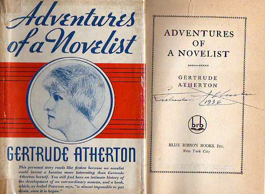 Image for Adventures of a Novelist