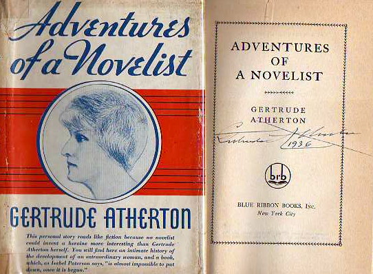 Image for Adventures of a Novelist