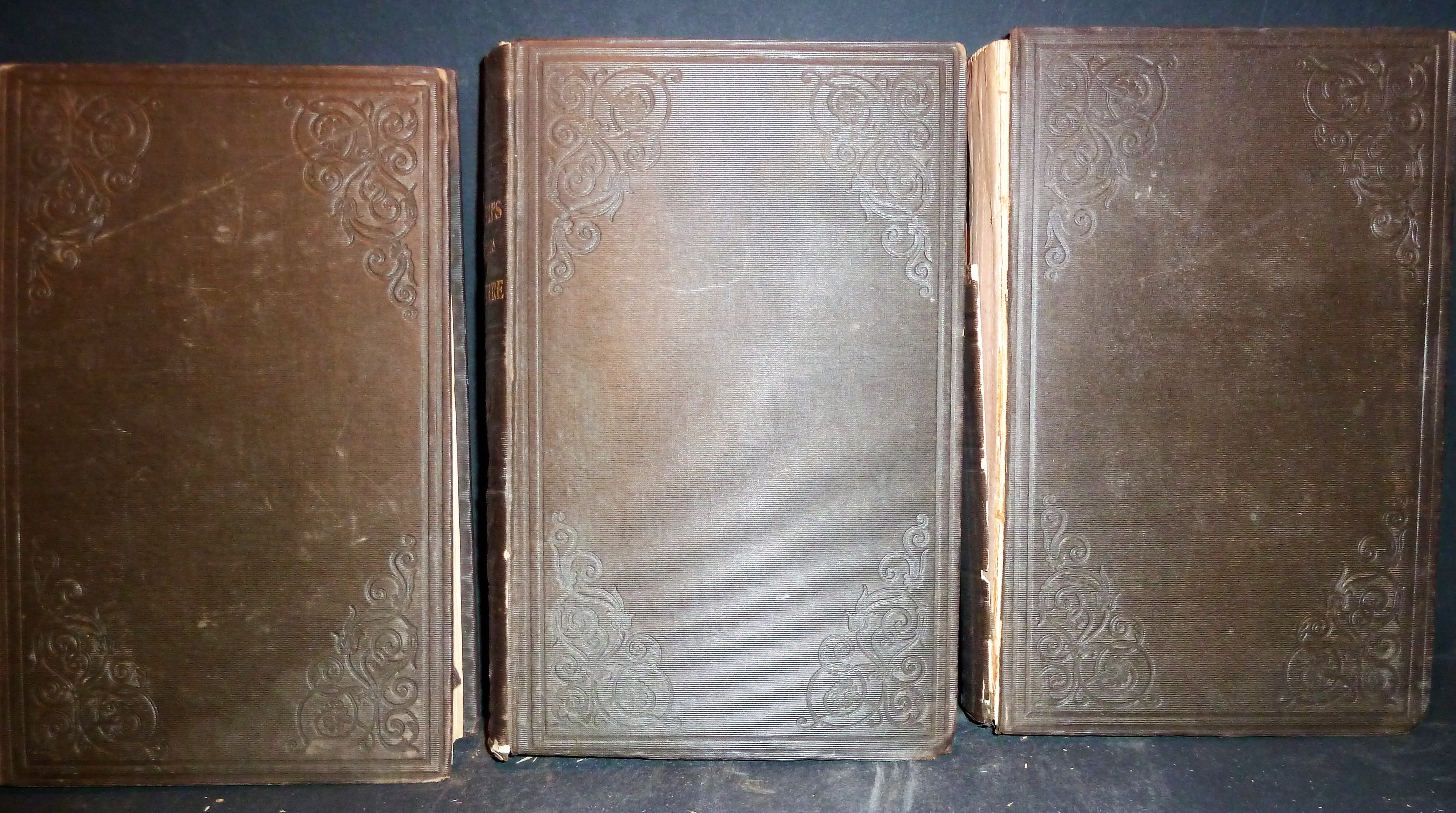 Image for Amenities Of Literature