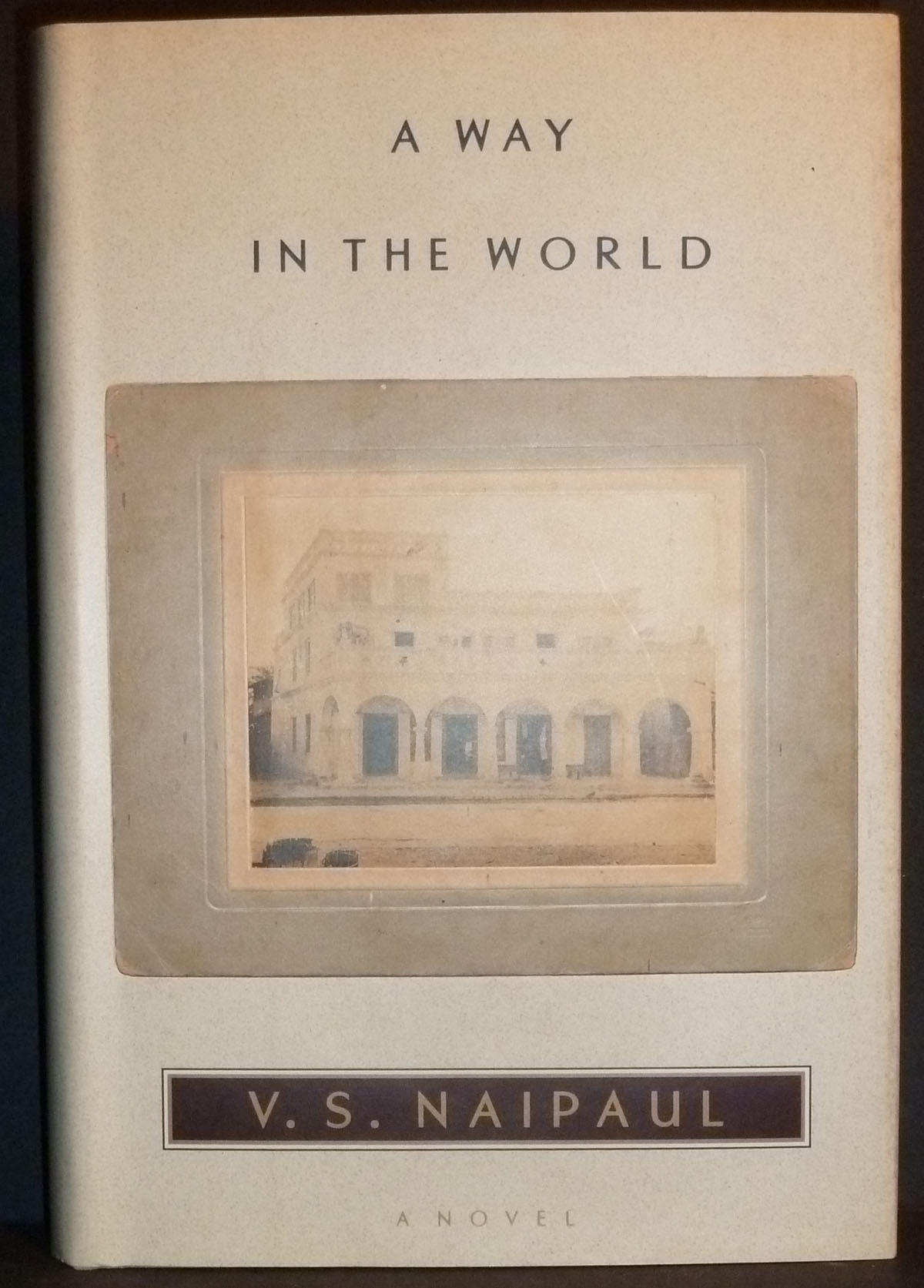 Image for A Way In the World
