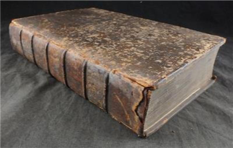 Image for 1671, HISTORY OF ROMISH TREASONS & USURPATIONS, CHRISTIAN RELIGION