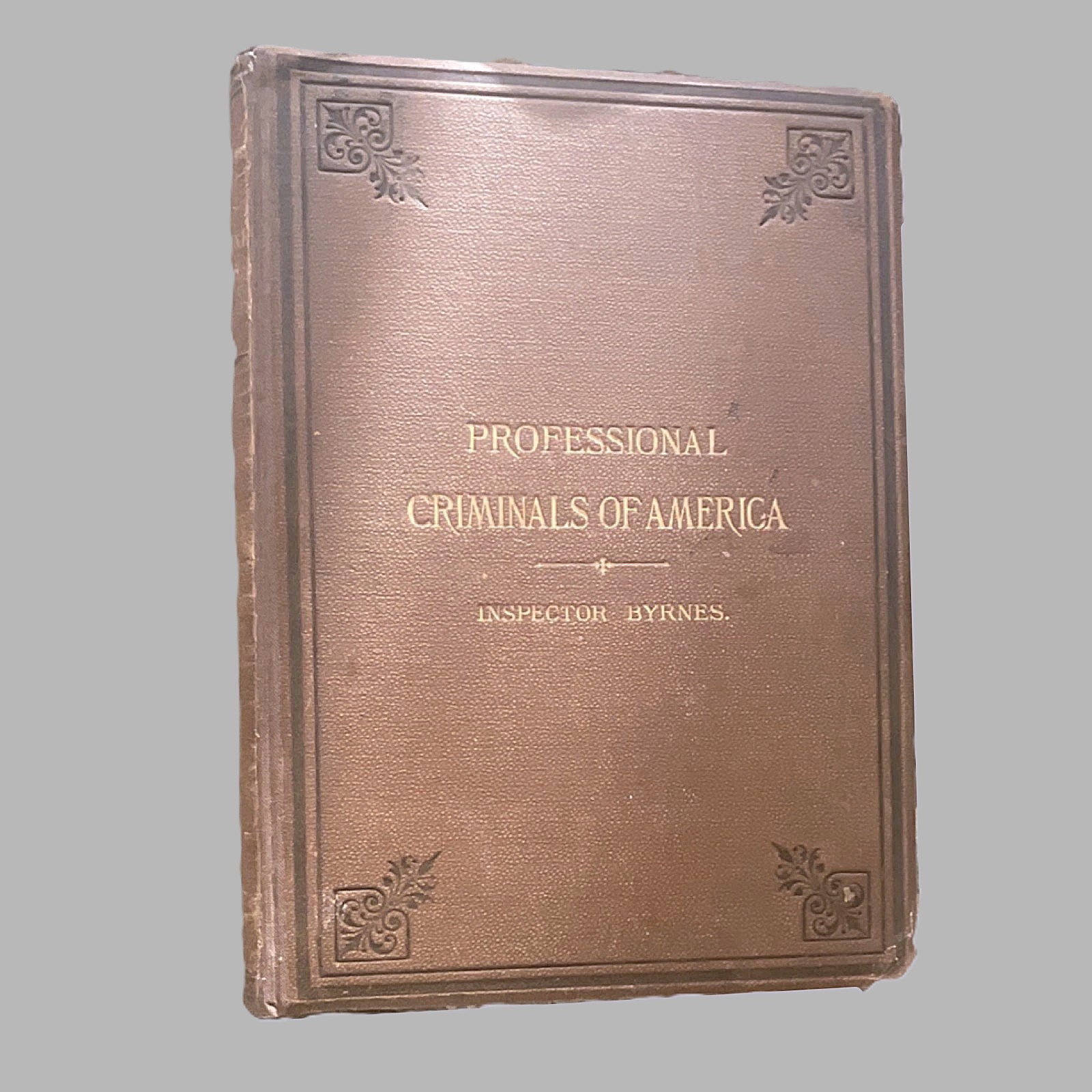 Professional Criminals of America