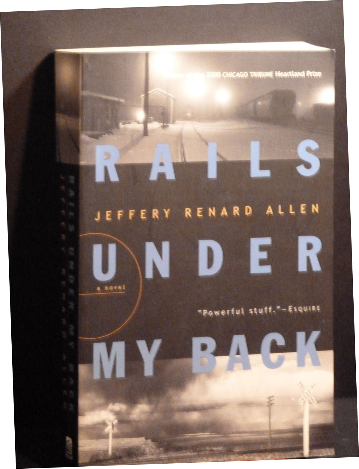 Image for Rails Under My Back