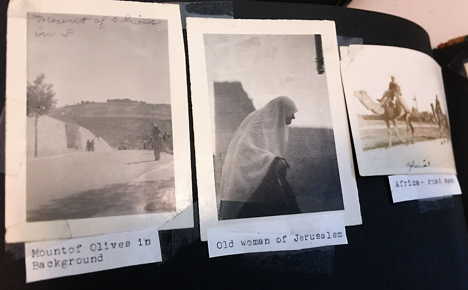 Image for Berg's Travels   1942-44