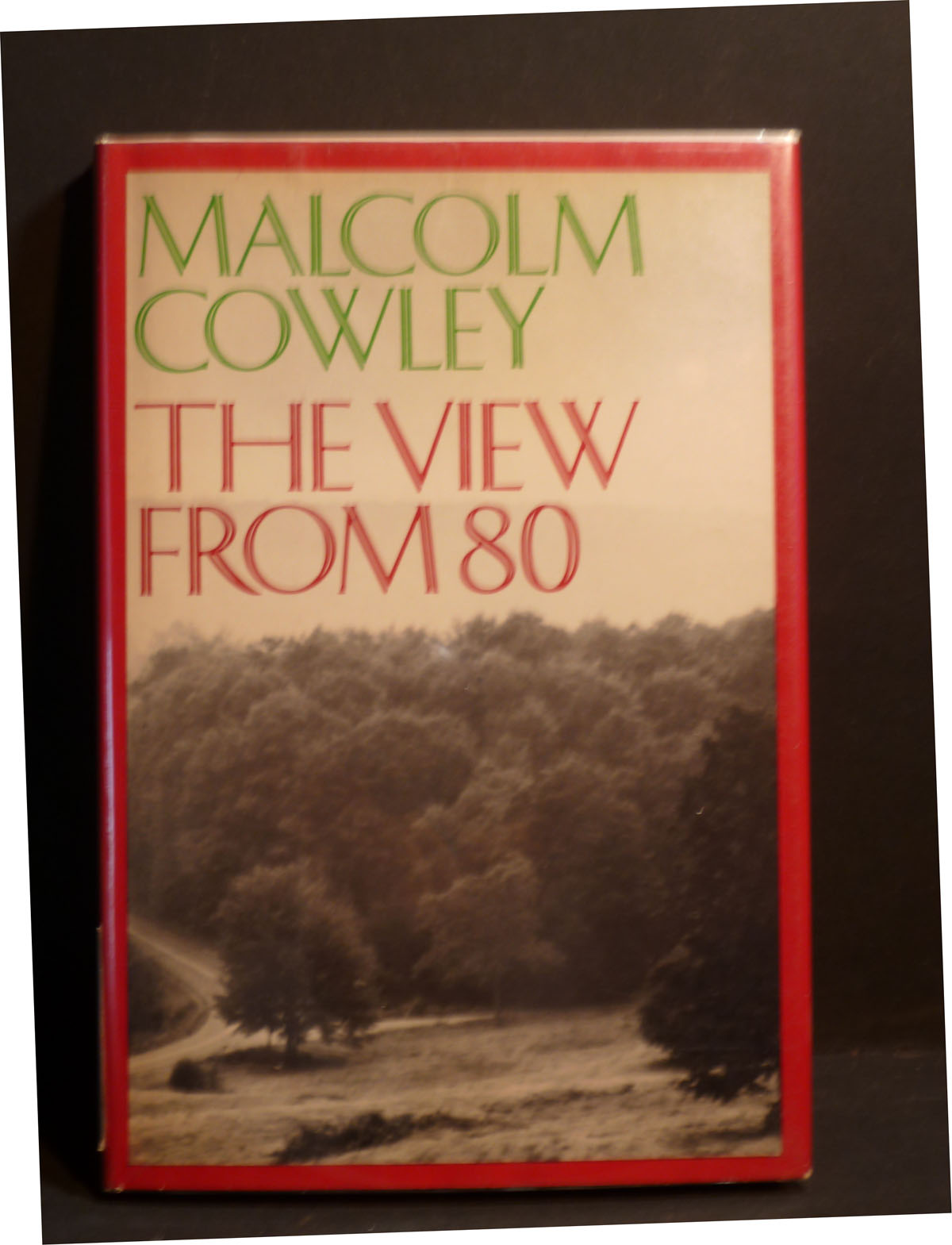 Image for The View from Eighty