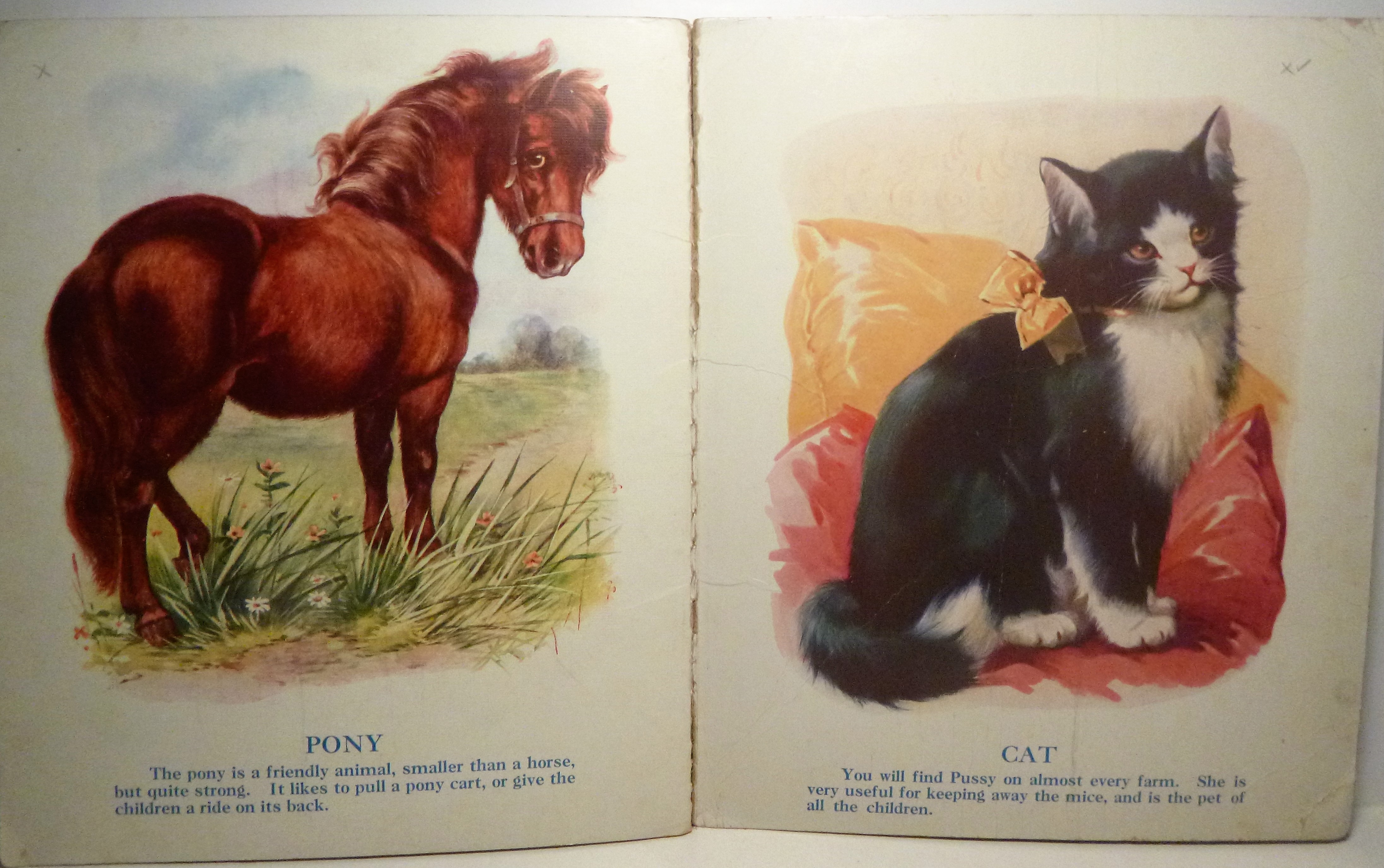 Image for Four Footed Friends