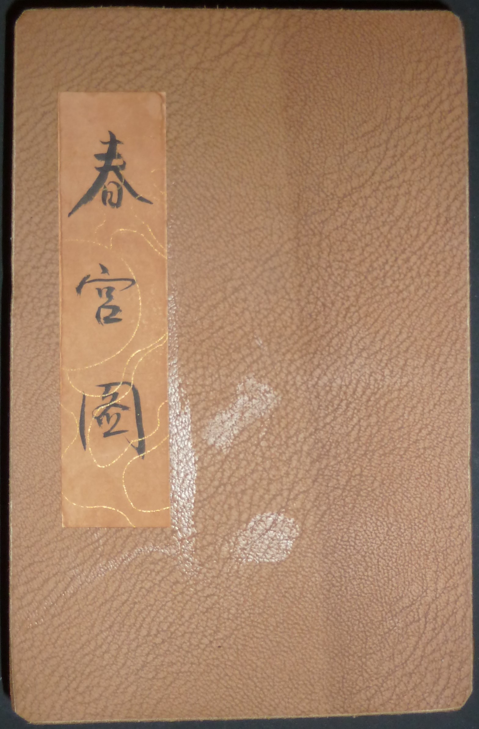 Image for Shunga Erotic "Pillow" Book