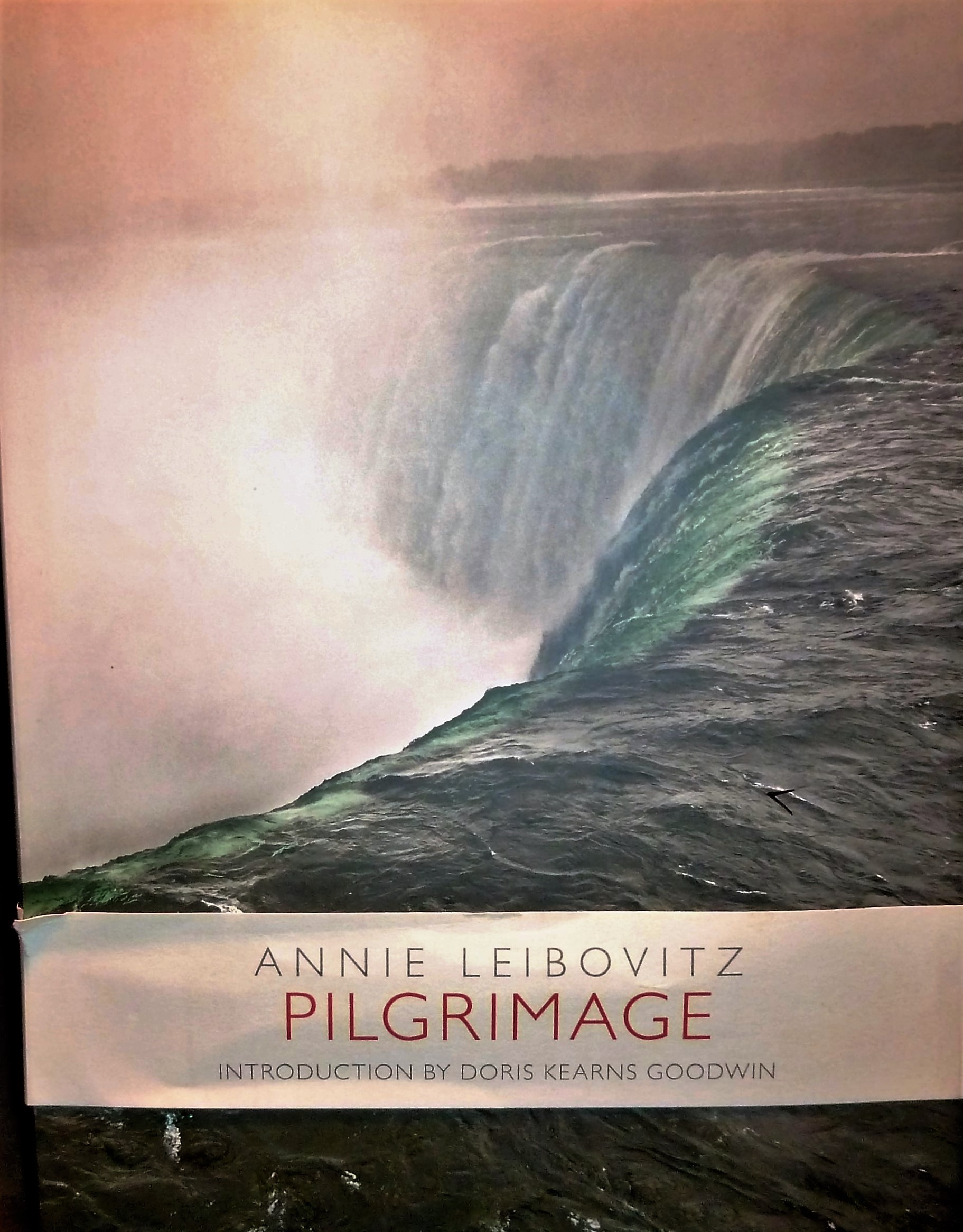 Image for Pilgrimage