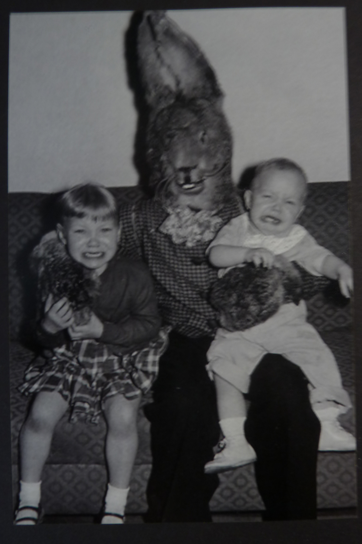Image for Unusual Rabbit Costume