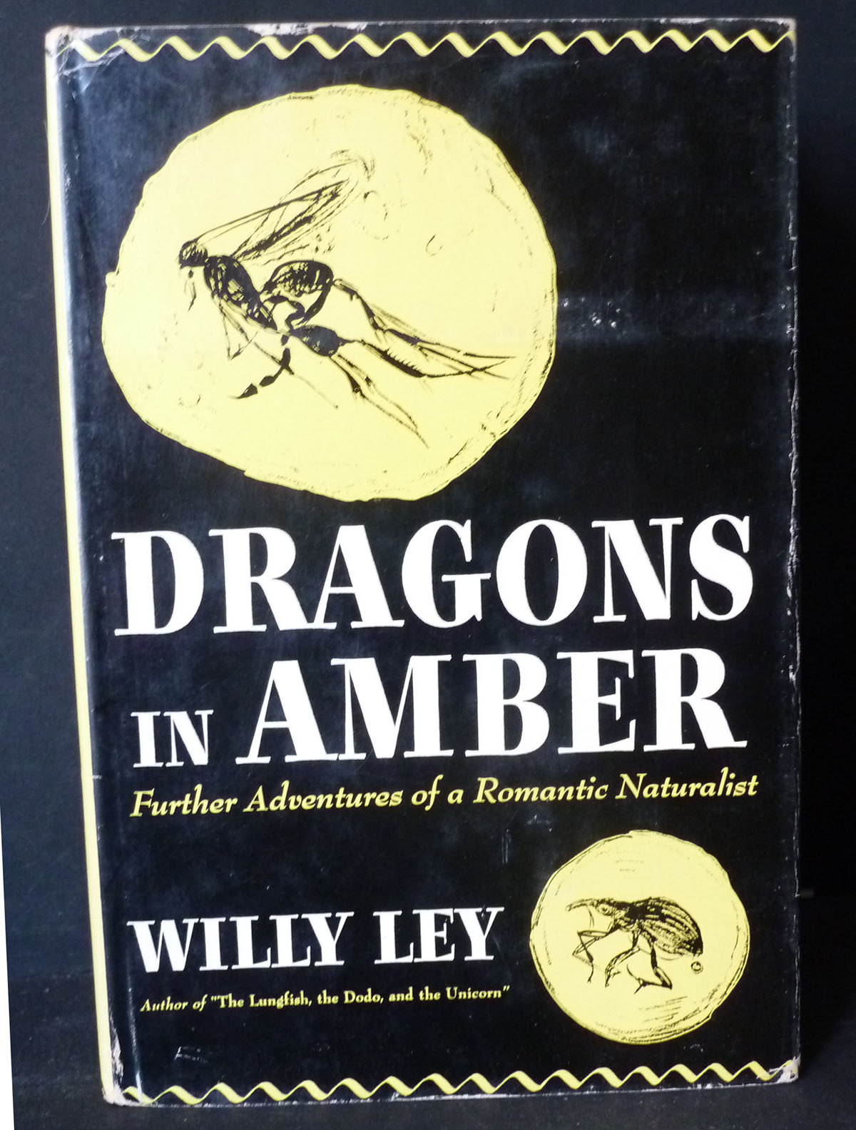 Image for Dragons in Amber