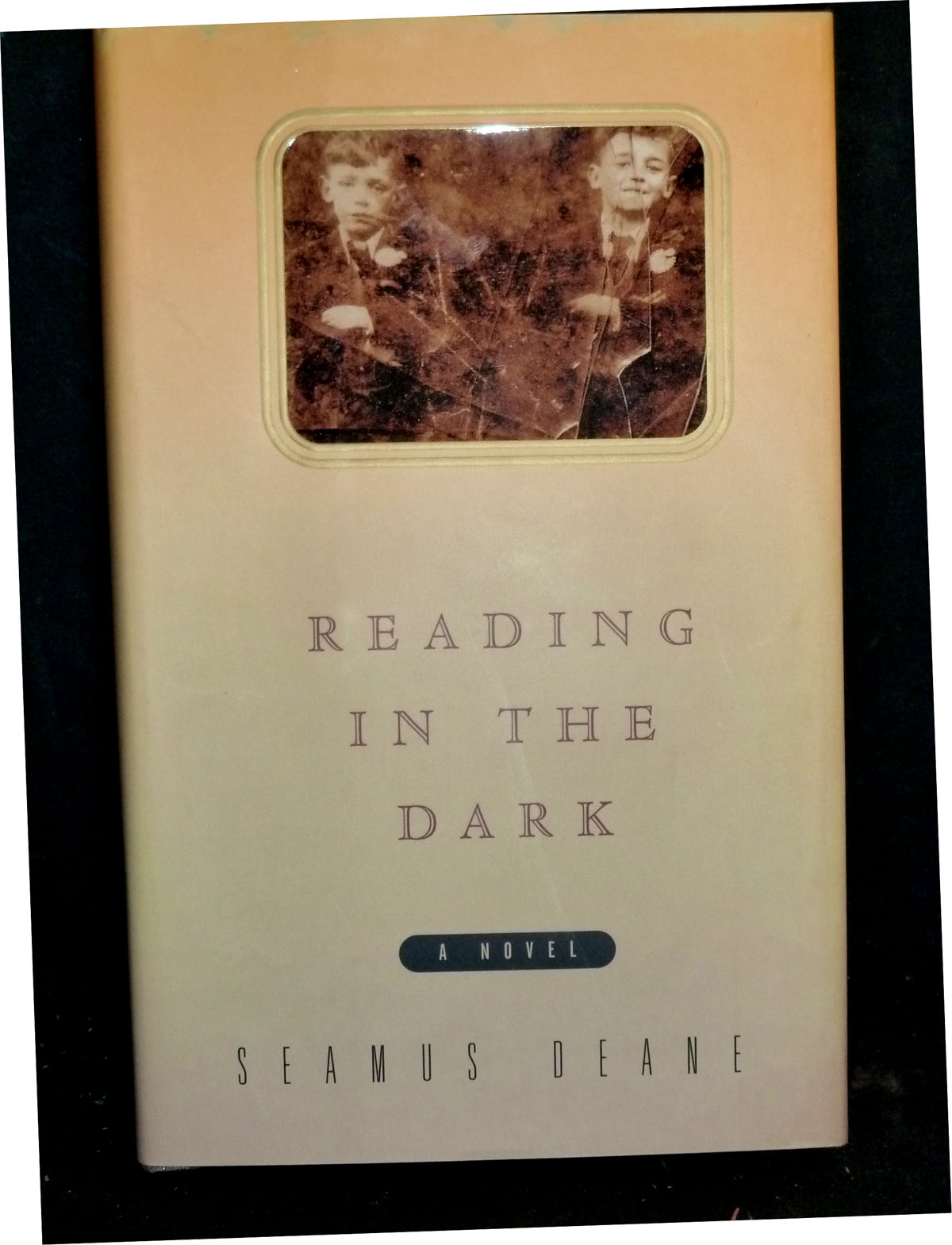 reading in the dark seamus reading in the dark seamus
