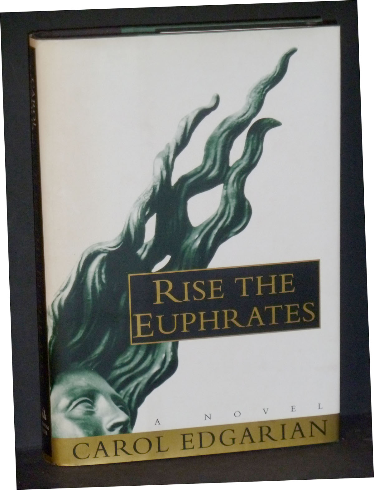 Image for Rise The Euphrates