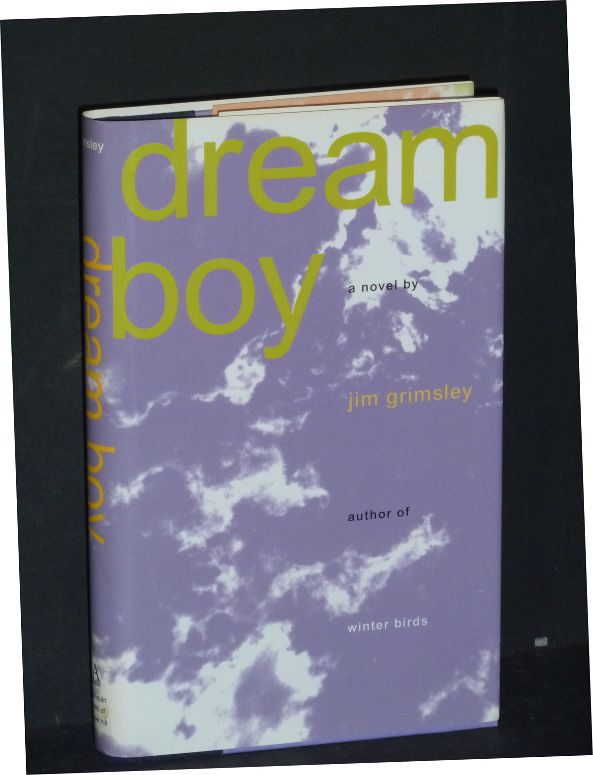 Image for Dream Boy: A Novel